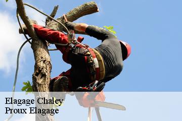 Elagage  chaley-01230 Proux Elagage