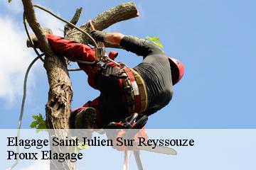 Elagage  saint-julien-sur-reyssouze-01560 Proux Elagage