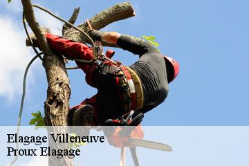 Elagage  villeneuve-01480 Proux Elagage