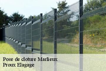 Pose de cloture  marlieux-01240 Proux Elagage