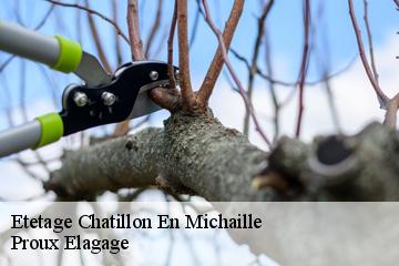 Etetage  chatillon-en-michaille-01200 Proux Elagage