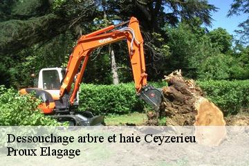 Dessouchage arbre et haie  ceyzerieu-01350 Proux Elagage