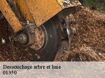 Dessouchage arbre et haie  01350