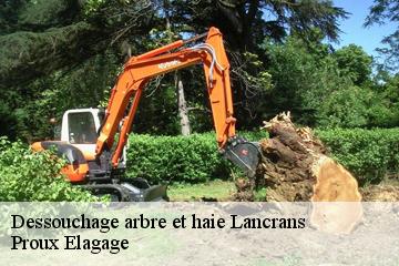 Dessouchage arbre et haie  lancrans-01200 Proux Elagage