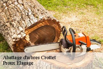 Abattage d'arbres  crottet-01620 Proux Elagage