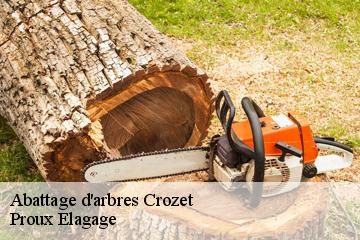 Abattage d'arbres  crozet-01170 Proux Elagage