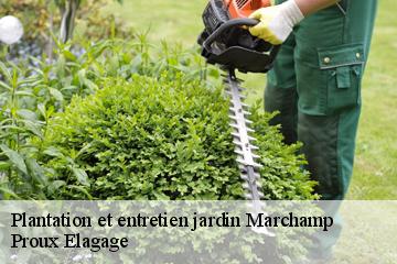 Plantation et entretien jardin  marchamp-01680 Proux Elagage