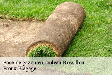 Pose de gazon en rouleau  rossillon-01510 Proux Elagage