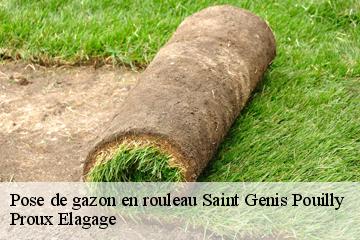 Pose de gazon en rouleau  saint-genis-pouilly-01630 Proux Elagage