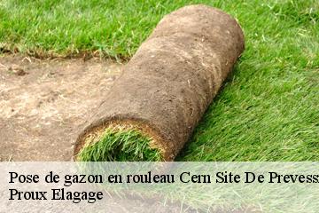 Pose de gazon en rouleau  cern-site-de-prevessin-01630 Proux Elagage