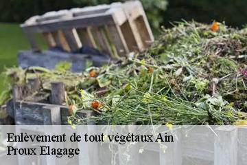 Enlèvement de tout végétaux 01 Ain  Proux Elagage