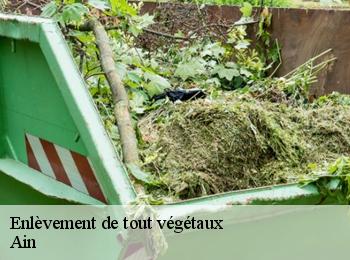 Enlèvement de tout végétaux Ain 