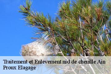 Traitement et Enlevement nid de chenille 01 Ain  Proux Elagage