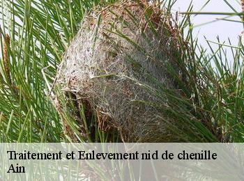 Traitement et Enlevement nid de chenill'Ain 