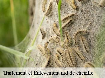 Traitement et Enlevement nid de chenille