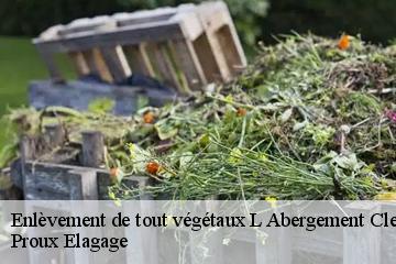 Enlèvement de tout végétaux  l-abergement-clemenciat-01400 Proux Elagage