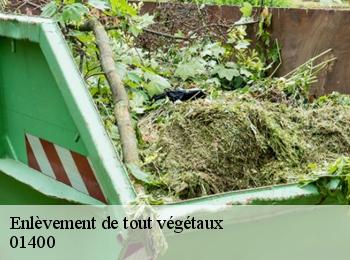 Enlèvement de tout végétaux  01400