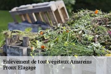 Enlèvement de tout végétaux  amareins-01090 Proux Elagage