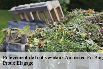 Enlèvement de tout végétaux  amberieu-en-bugey-01500 Proux Elagage