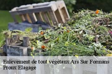 Enlèvement de tout végétaux  ars-sur-formans-01480 Proux Elagage