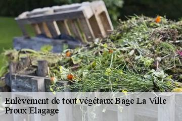 Enlèvement de tout végétaux  bage-la-ville-01380 Proux Elagage