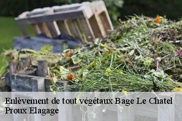 Enlèvement de tout végétaux  bage-le-chatel-01380 Proux Elagage