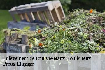 Enlèvement de tout végétaux  bouligneux-01330 Proux Elagage