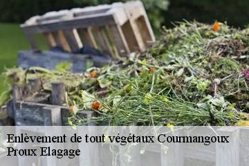 Enlèvement de tout végétaux  courmangoux-01370 Proux Elagage