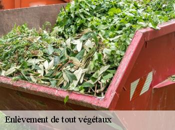 Enlèvement de tout végétaux